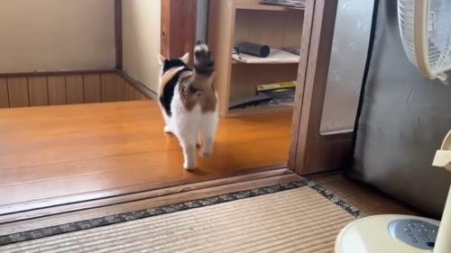 歩いて行く後ろ姿
