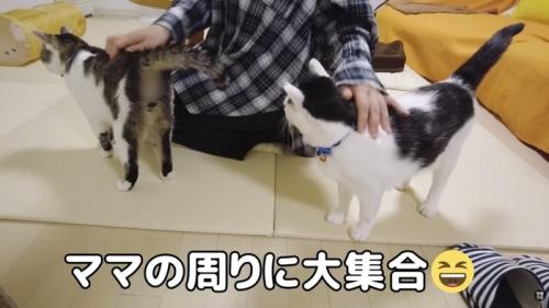 お出迎えするふたり