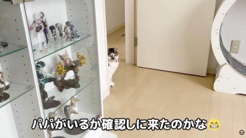 パパさんをチェック