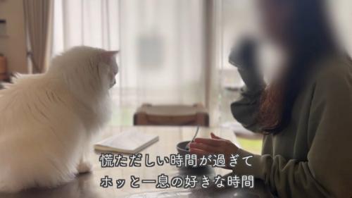 テロップ「慌ただしい時間が～」