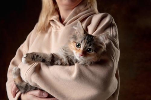 女性に抱かれる猫