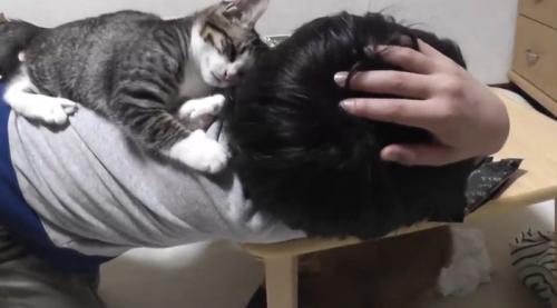 男の子の背中に乗っている子猫