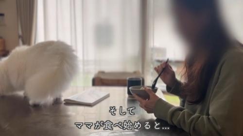 テロップ「そしてママが～」