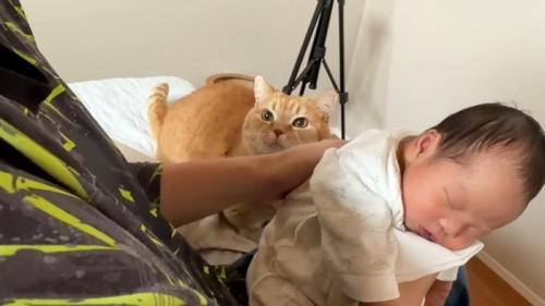 赤ちゃんの後ろに