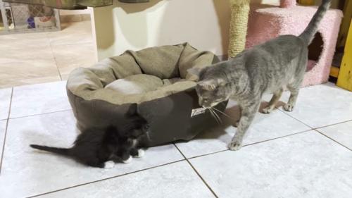 ベッドの前で対面