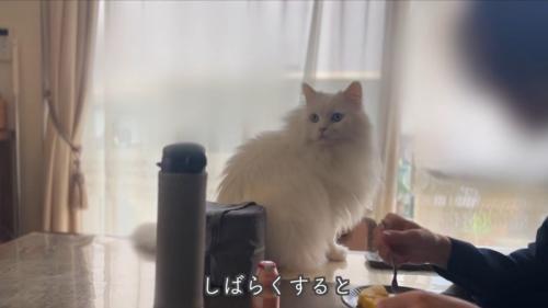 テロップ「しばらくすると」