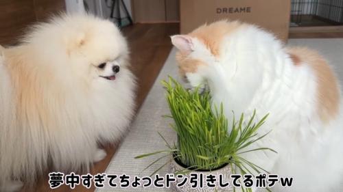 夢中すぎて