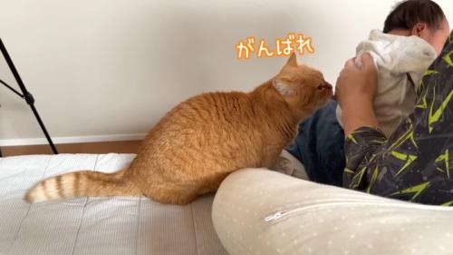 がんばれ