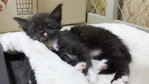 眠る姿