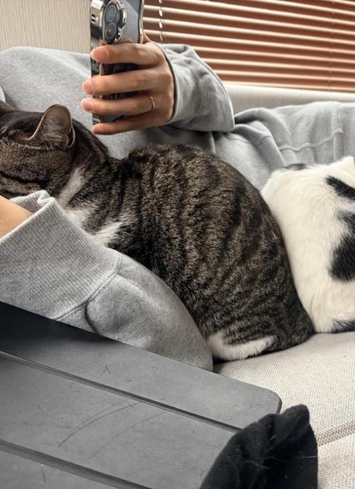 眠っている猫と男性