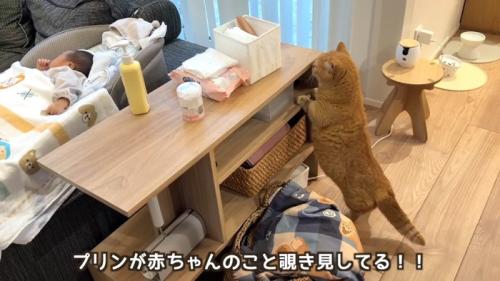 2足立ち