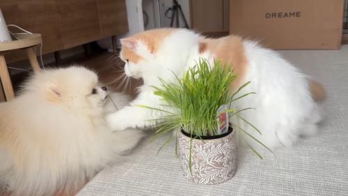 胸元にパンチ