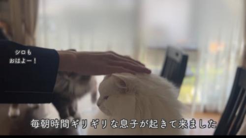 テロップ「毎朝ギリギリな～」