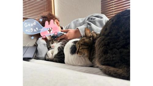 眠っている猫と男性