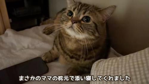 まさかのママの枕元で