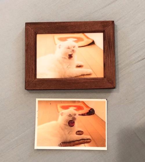 写真の比較