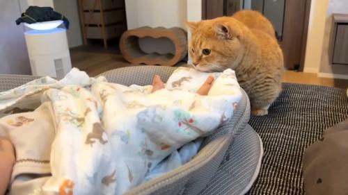 赤ちゃんの足元に