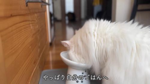テロップ「やっぱり自分の～」