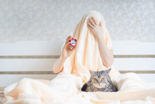 毛布をかぶっている人と猫