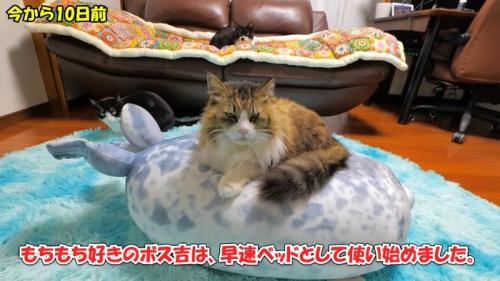 今から10日前