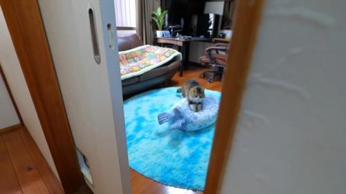 遠目から
