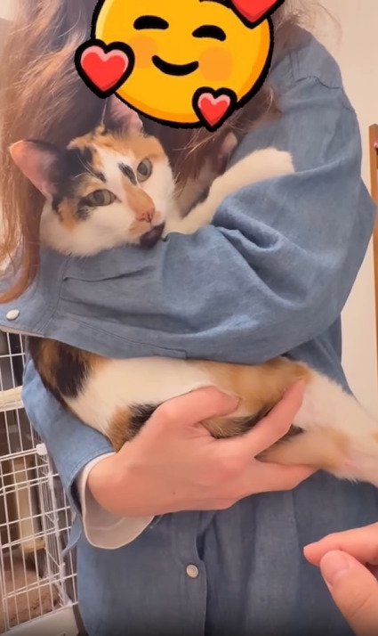 抱っこしてもらう猫2