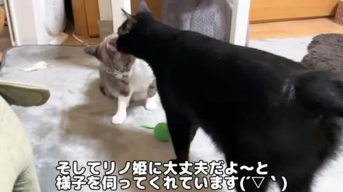 みんな一緒