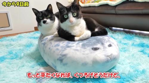 今から9日前