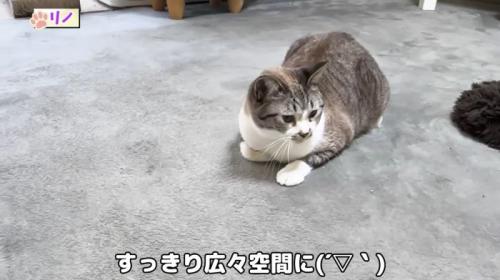 広い空間に