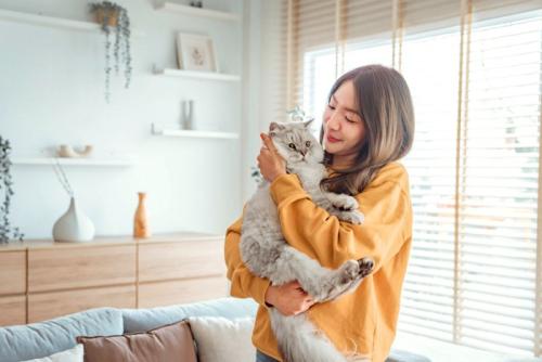 女性と猫