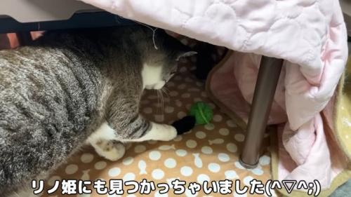 おこたにくるリノ姫