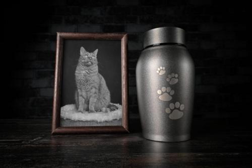 猫の写真と骨壺