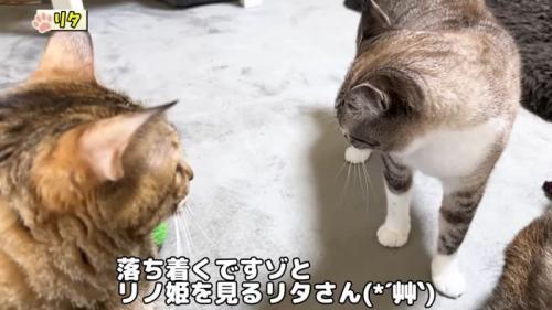 リタさんに諭されるリノ姫