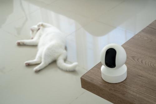 カメラの向こうでヘソ天