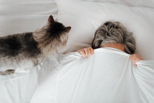 飼い主の頭のそばに行く猫