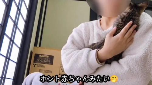 抱っこされる猫