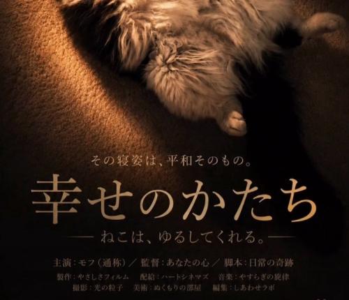 猫の足元