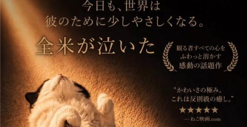 猫の頭