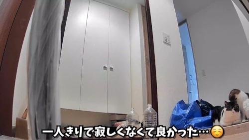 寂しくなくて良かった