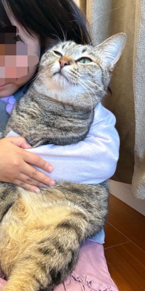 抱きしめられている猫