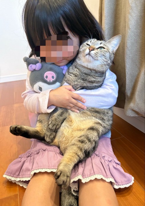 ぬいぐるみと猫を抱きしめる女の子
