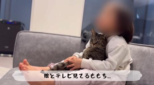 女の子に抱かれて猫