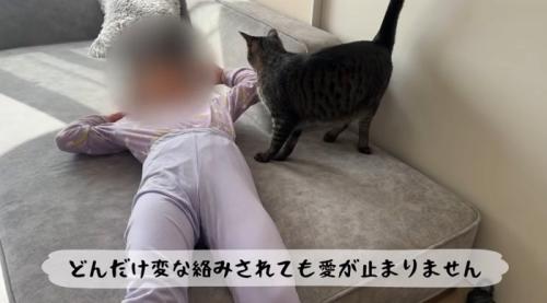 寝転がっている女の子と猫