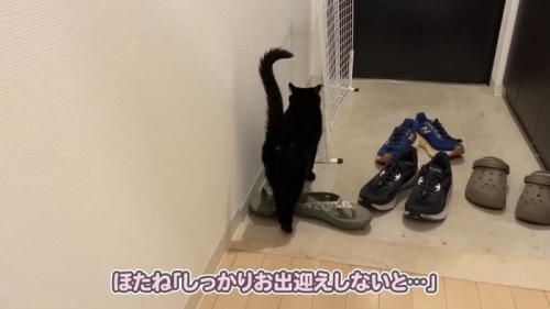 しっかりお出迎えしないと…