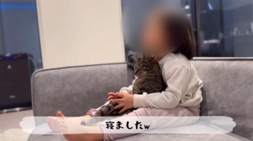 女の子に抱かれて猫