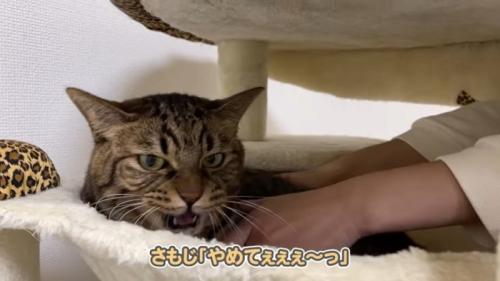 やめてぇぇぇ~っ