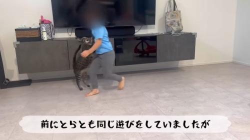 走り回りながら猫と遊ぶ女の子