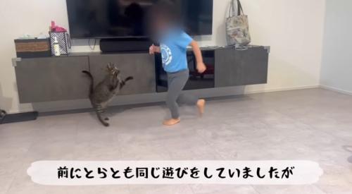 走り回りながら猫と遊ぶ女の子