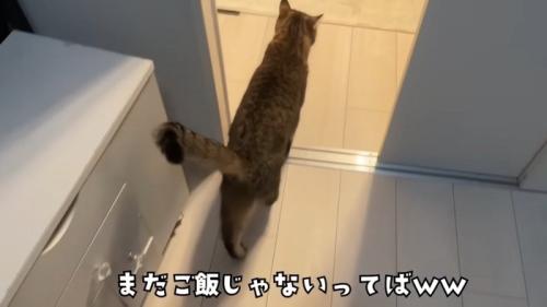 再度の誘導