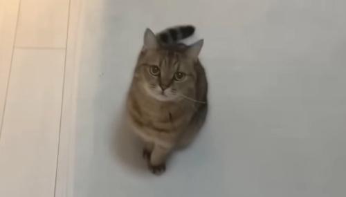 見上げる視線